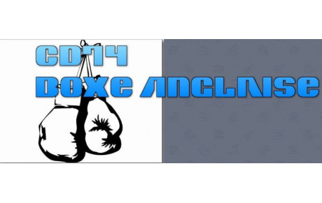 Stage de la sélection de Haute-Savoie de boxe